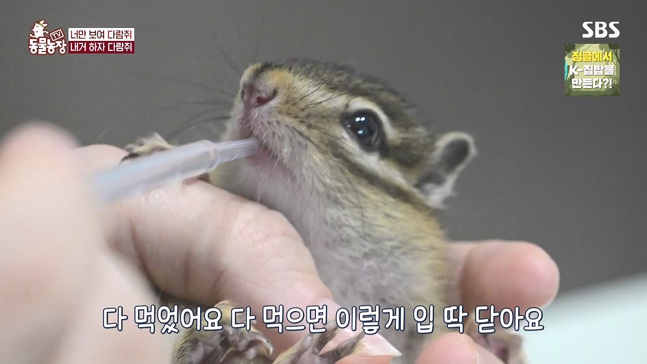 TV 동물농장.E1183.240805p-NEXT.mp4_20240804_154951.125.jpg