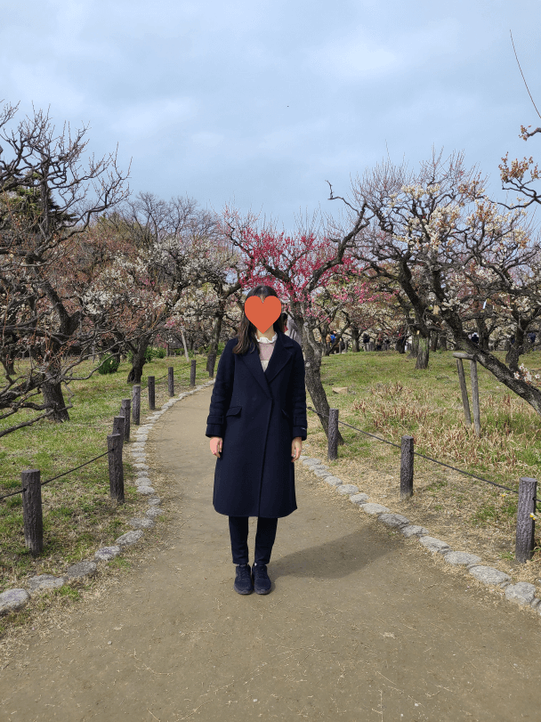 오사카성 매림(Plum forest) 꽃나무