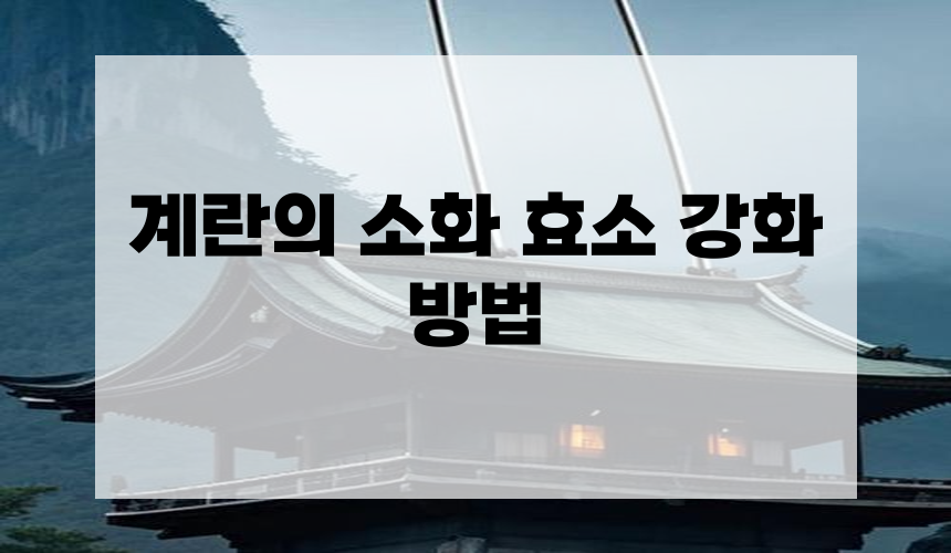 계란의 소화 효소 강화 방법