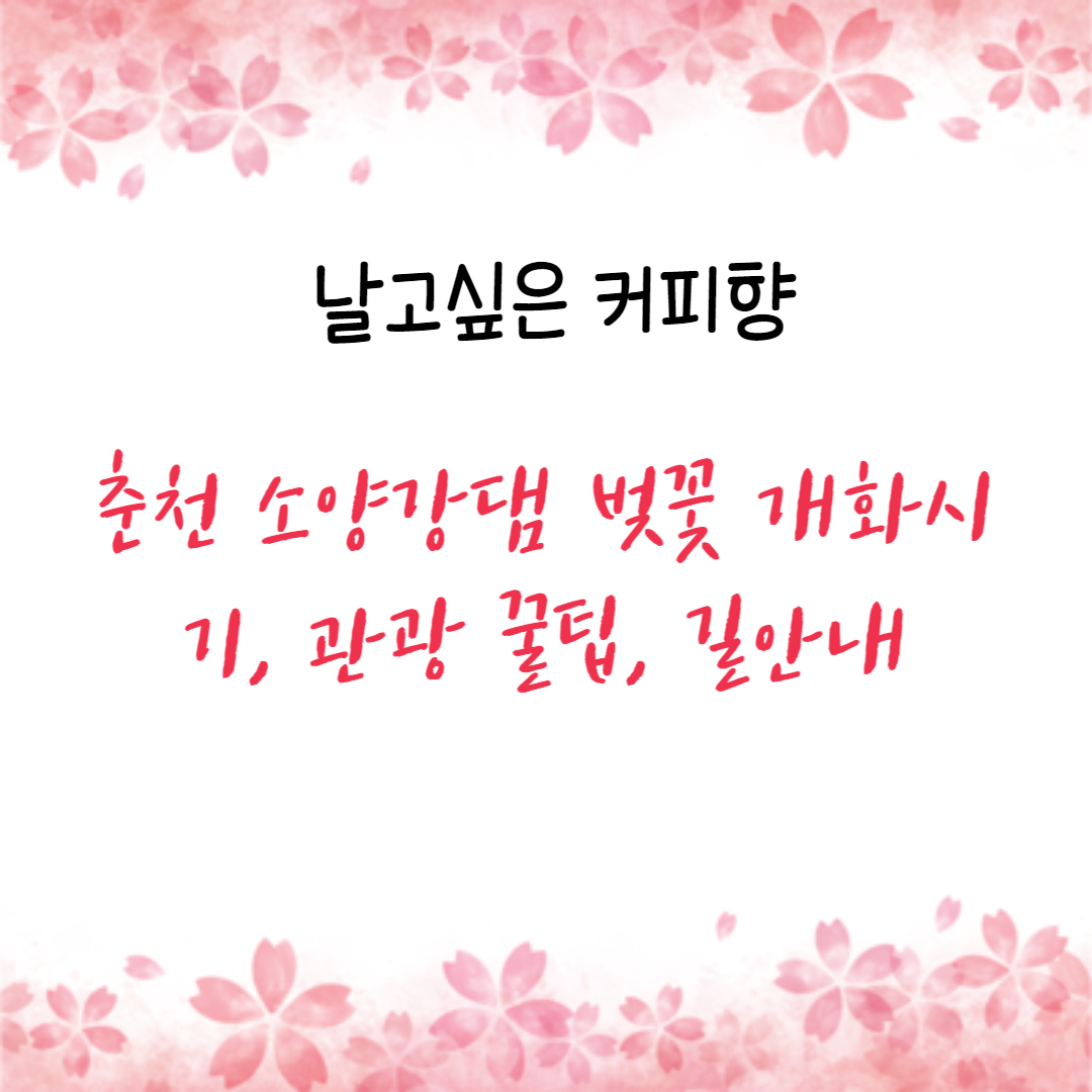 춘천 소양강댐 벚꽃 개화시기&#44; 관광 꿀팁&#44; 길안내