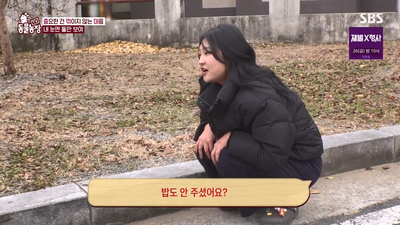 TV 동물농장.E1154.240115p-NEXT.mp4_20240114_183143.155.jpg