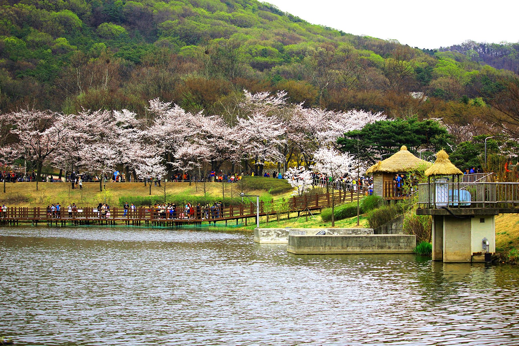 인천대공원