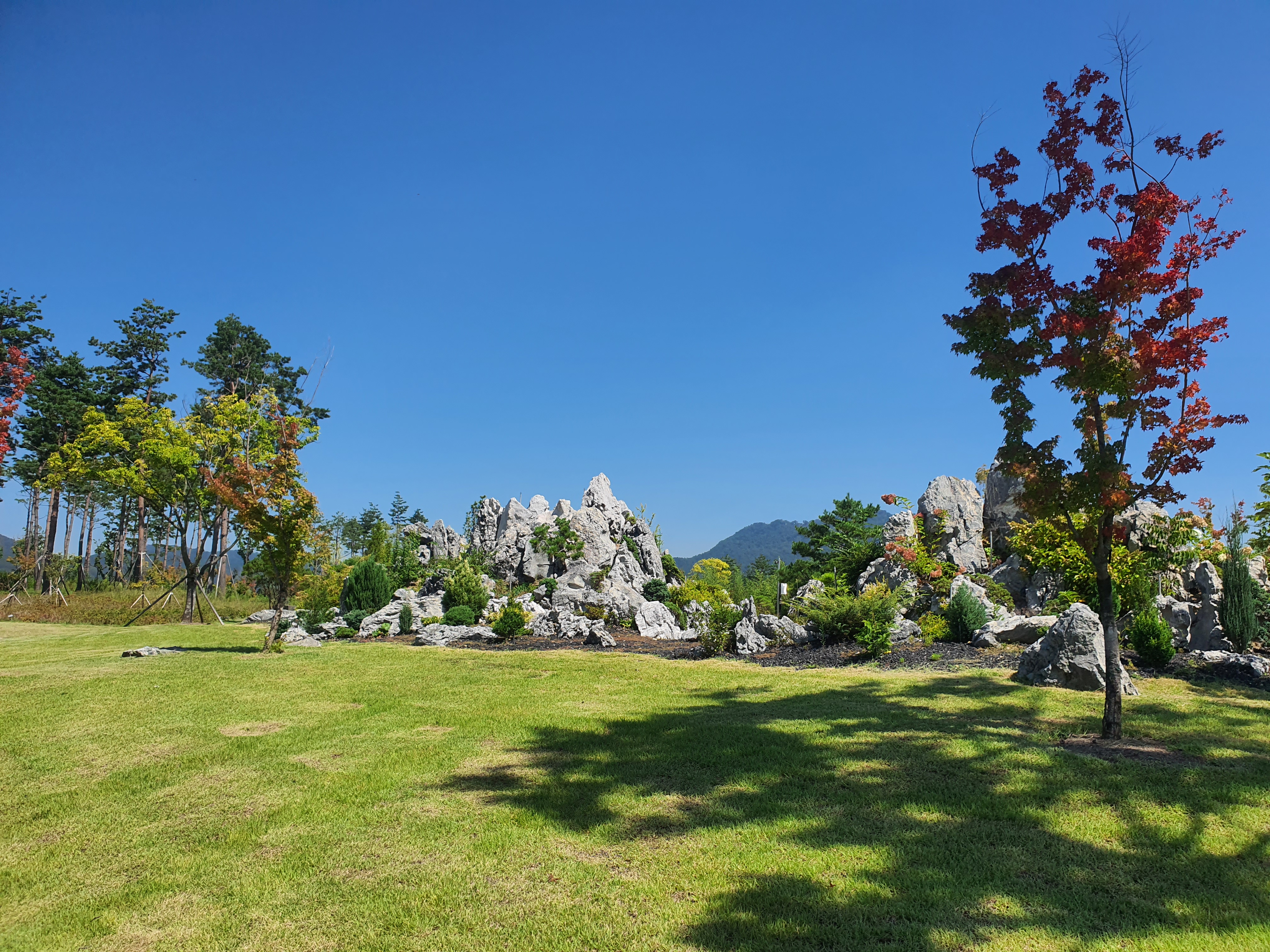 국립세종수목원 야간 개장 이용 안내 할인 혜택 세종 가볼만한 곳