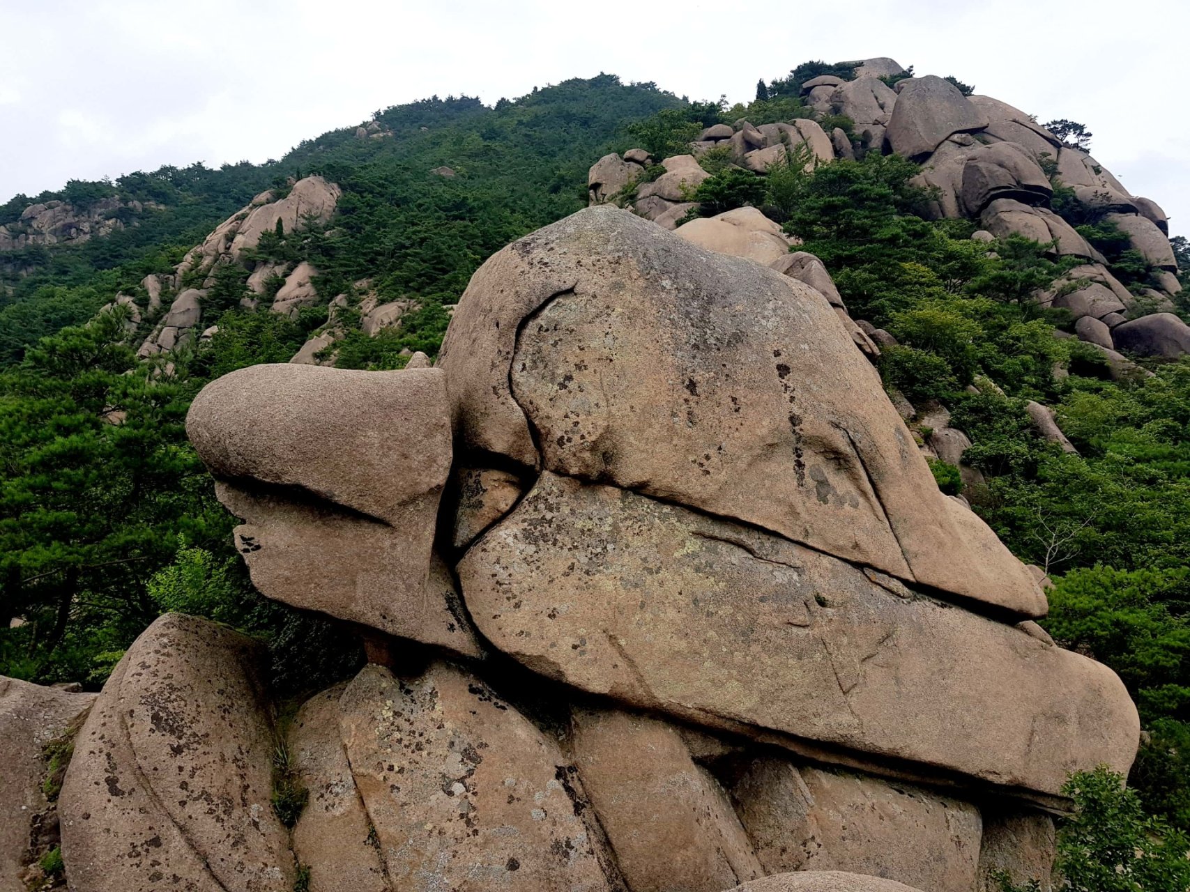 경남 산청 감암산