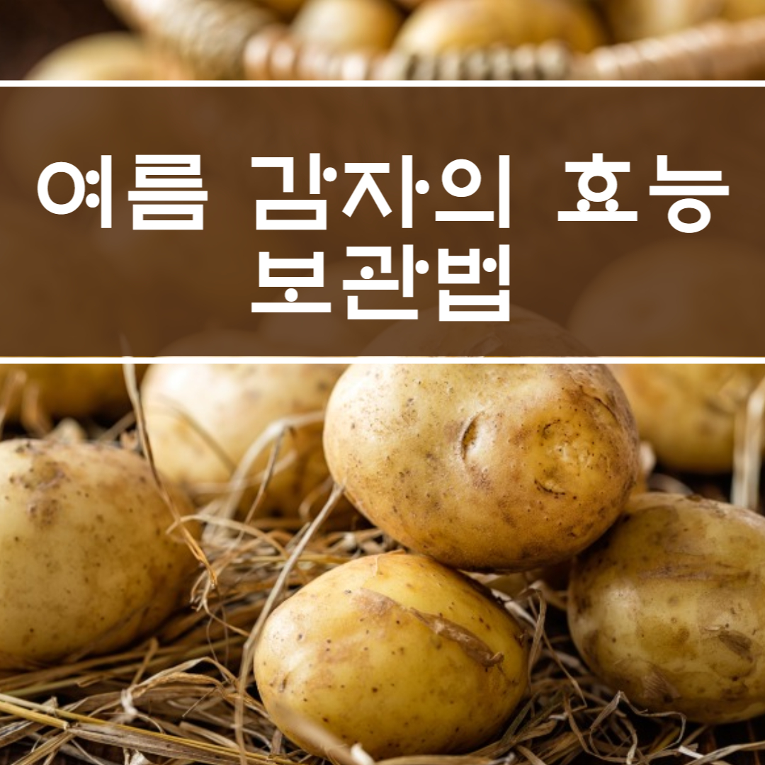 여름 감자 효능 - 썸네일