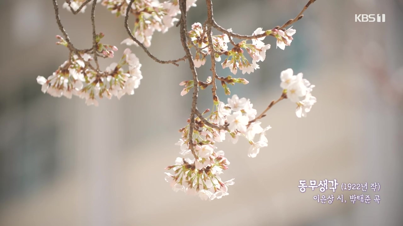 다큐 인사이트.E184.240510p-NEXT.mp4_20240510_202538.249.jpg