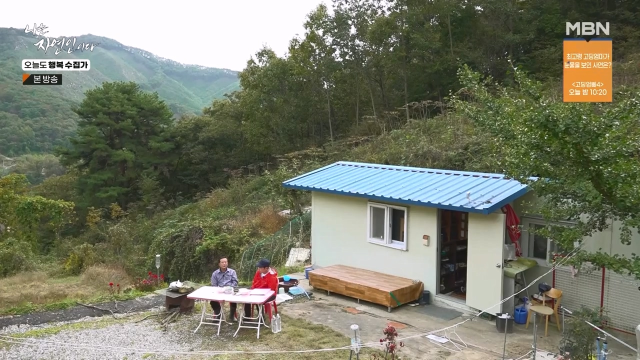 나는 자연인이다.E578.231102p-NEXT.mp4_20231102_202933.484.jpg