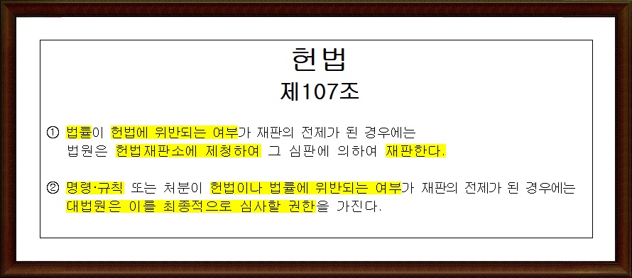  법규명령의 위법&위헌 심사하는 기관