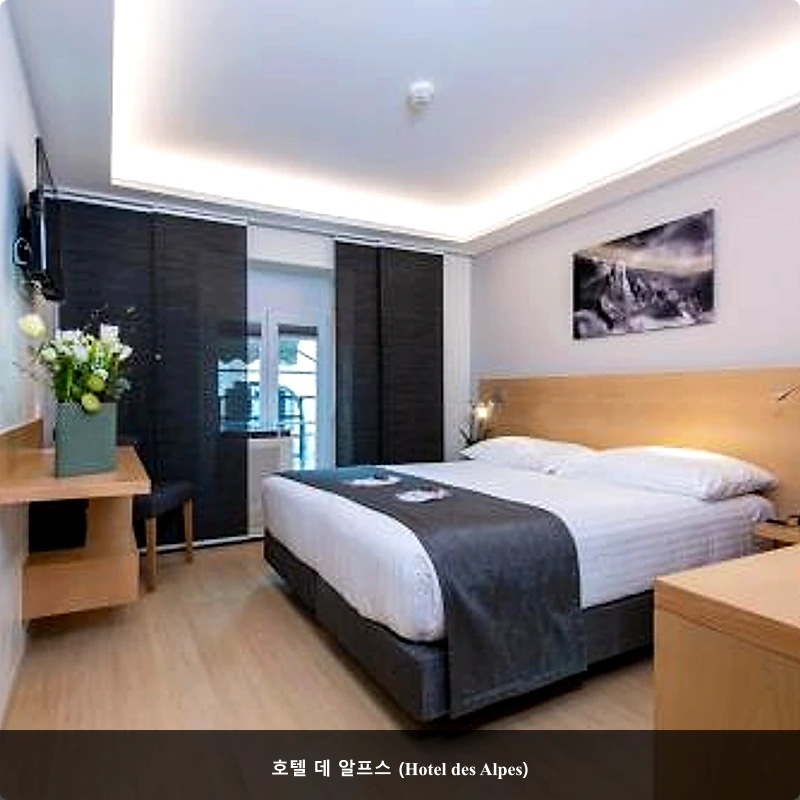 호텔 데 알프스 (Hotel des Alpes)_2