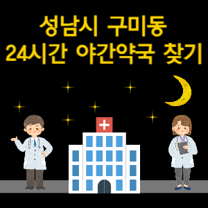 성남시 구미동 24시간 야간 심야 당번약국 찾기