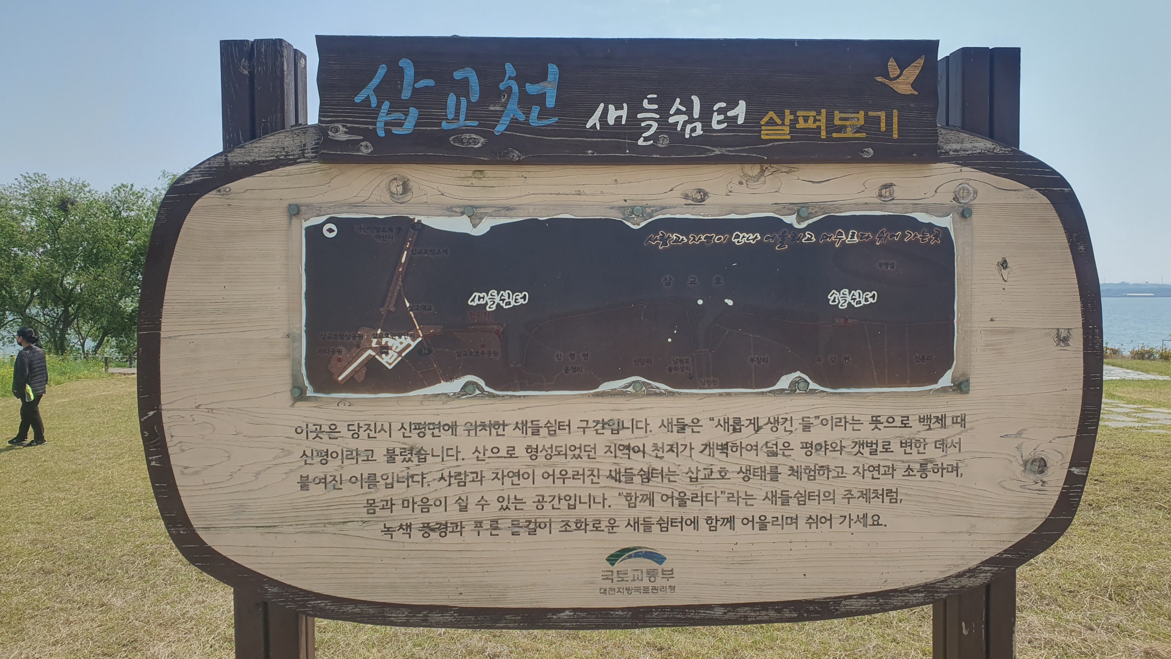 당진 유채꽃 명소 : 삽교호 호수공원