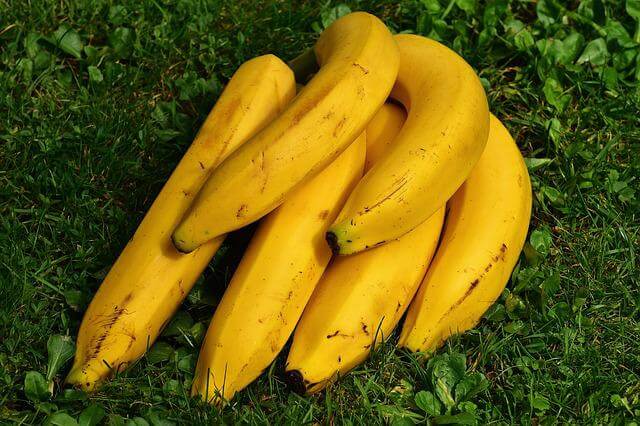 바나나의효능혈액순환