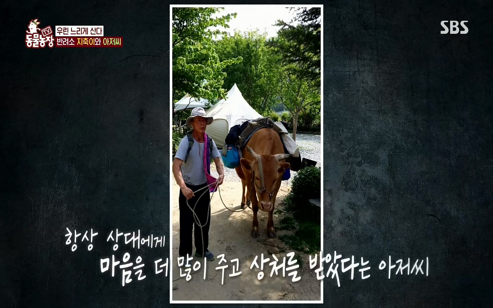 TV 동물농장.E1074.220619p.H264-F1RST.mp4_20220619_181502.992.jpg