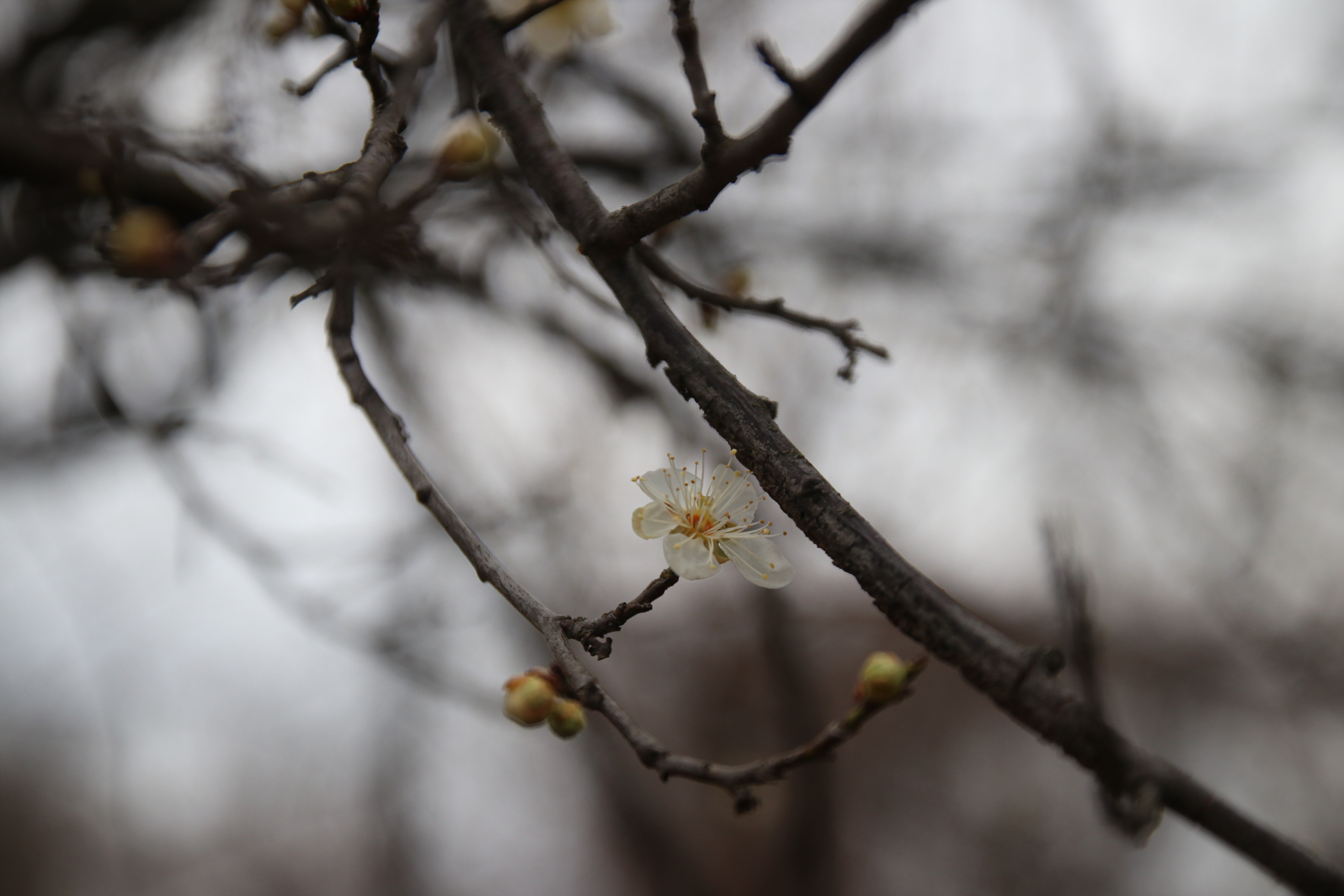 경남 의령군 국사봉 05 81