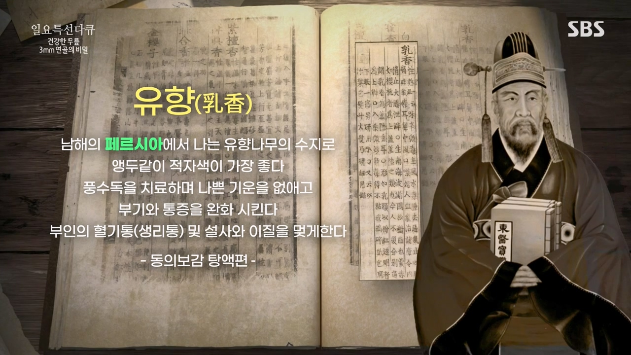 일요특선 다큐멘터리.E341.240318p-NEXT.mp4_20240317_185508.372.jpg