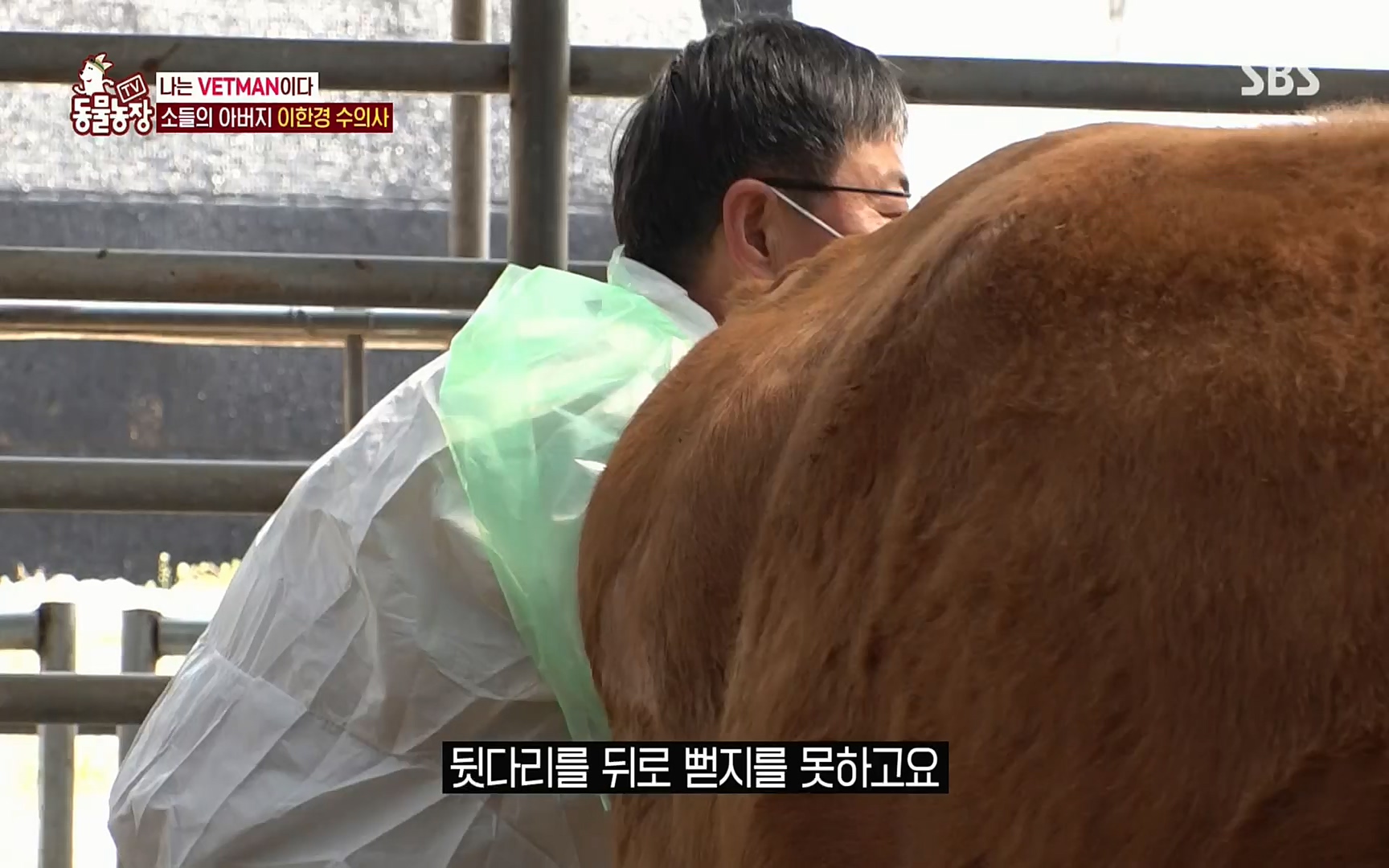 TV 동물농장.E1069.220515p.H264-F1RST.mp4_20220515_181250.492.jpg
