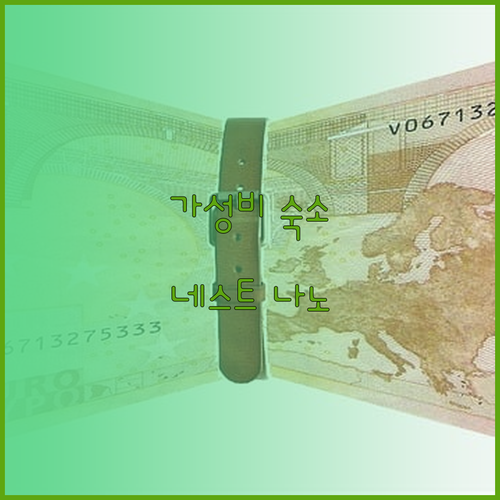 네스트 나노 스위트의 재발견! 마닐라