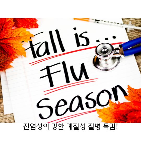  독감 가을에 자주 발생하는 질병으로 알고 대처하자!