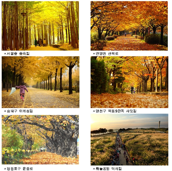  서울시 추천 가볼 만한 단풍길 96선