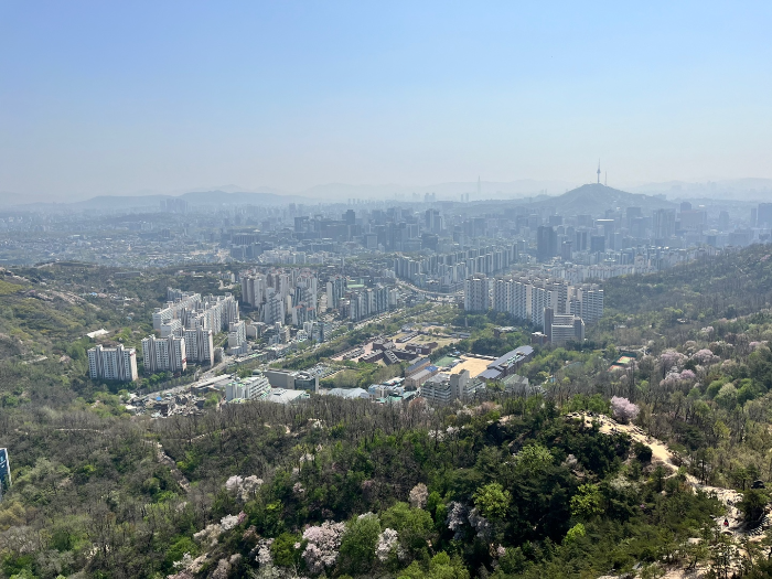 서울 시내
