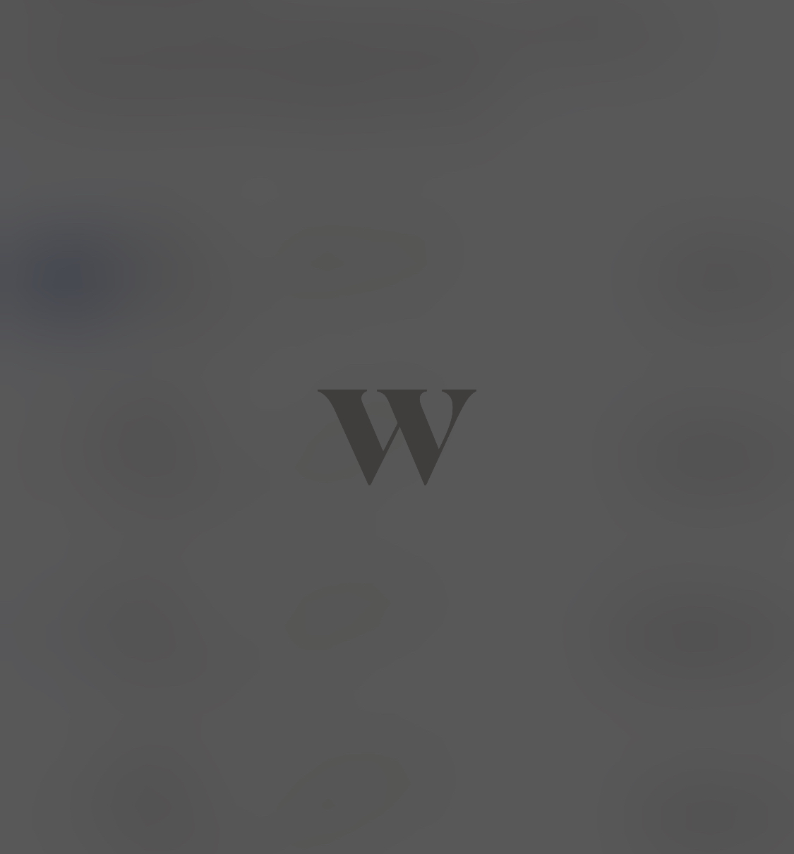  캐나다 주식투자 앱 웰스심플 (Wealthsimple) 지난 1년간의 수익률 공개