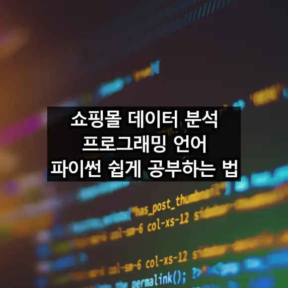 쇼핑몰 데이터 분석 프로그래밍 언어 파이썬 쉽게 공부하기