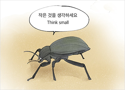  딱정벌레 자동차