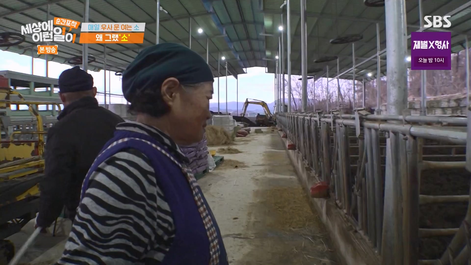 순간포착 세상에 이런일이.E1265.240217p-NEXT.mp4_20240218_151701.588.jpg