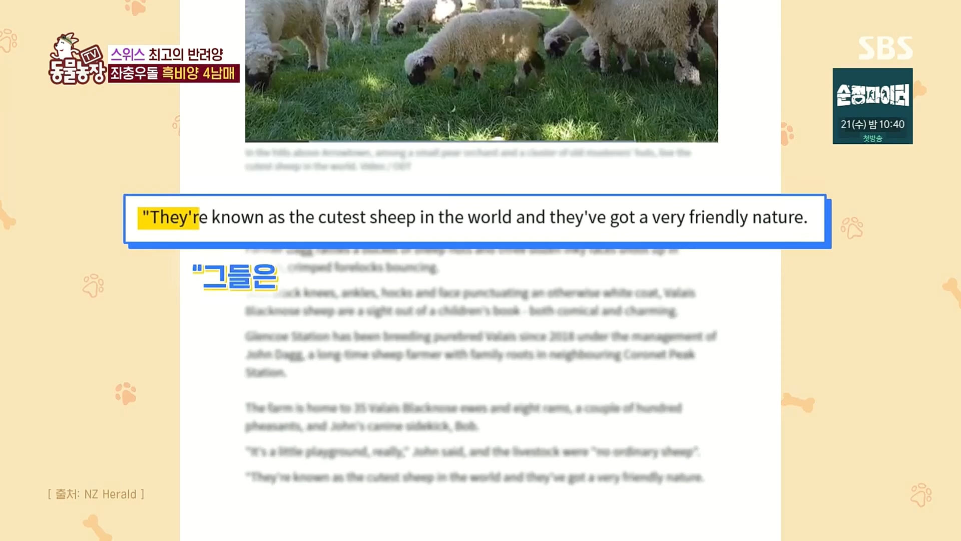 TV 동물농장.E1100.221218p.H264-F1RST.mp4_20221218_183445.910.jpg