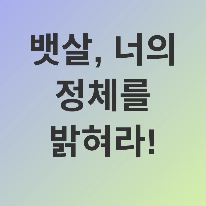 복부지방 감소_1