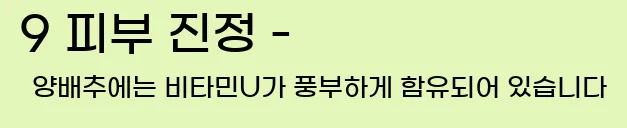  9 피부 진정 - 양배추에는 비타민U가 풍부하게 함유되어 있습니다