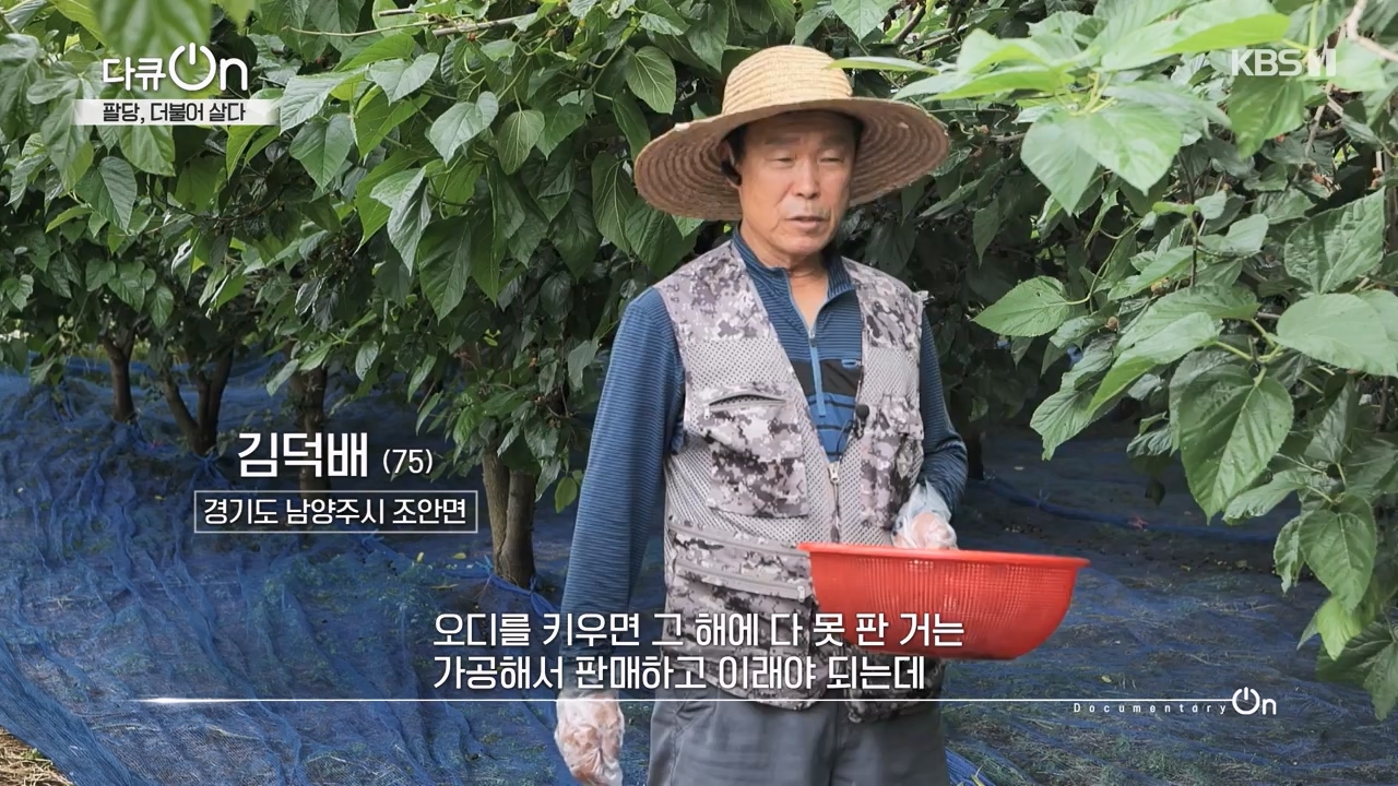 다큐 온.E208.230730p-NEXT.mp4_20230802_202543.467.jpg