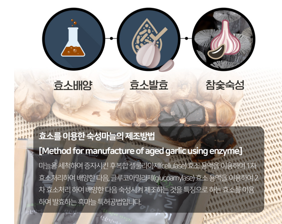 피로회복과 남성의 발기 등 남자 정력에 좋은 흑마늘 즙의 효능 - 3. 스트로아일랜드 흑마늘즙이란? 효소를 이용한 발효 공법 과정