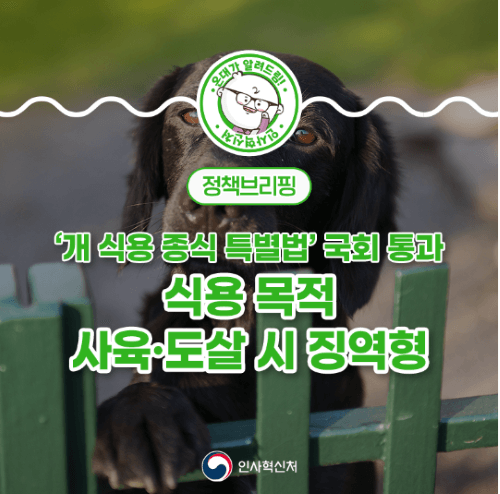 이 고기는 이제 못 먹는가?