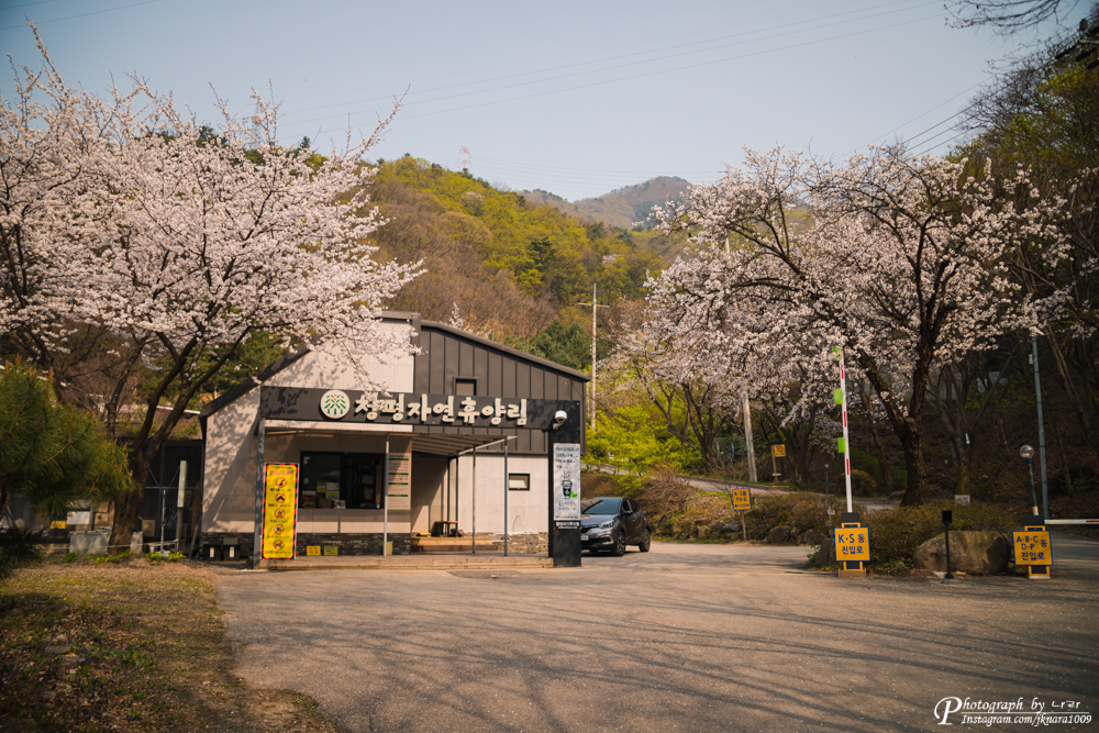  경기도 당일치기 여행 - 서울에서 가장 가까운 휴양림 "청평 자연휴양림"