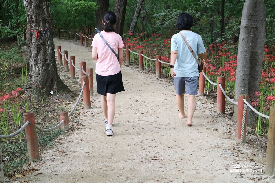 맨발로 걷고 있는 엄마와 나란히 걷고 있는 딸의 뒷모습