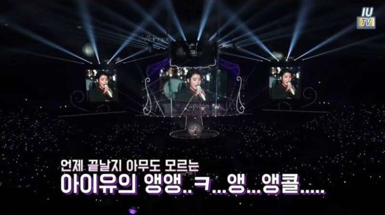  혜자라는 아이유 콘서트
