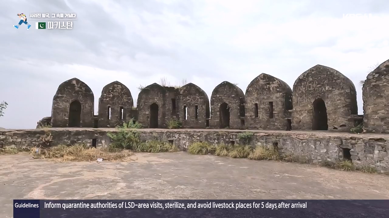 걸어서 세계속으로.E817.231112p-NEXT.mp4_20231114_213230.848.jpg