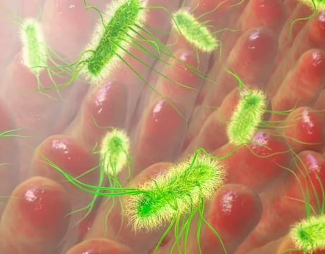 세계에서 가장 치명적인 벌레는? World&#39;s deadliest bugs REVEALED: Bacterial infections kill nearly 8MILLION people a year