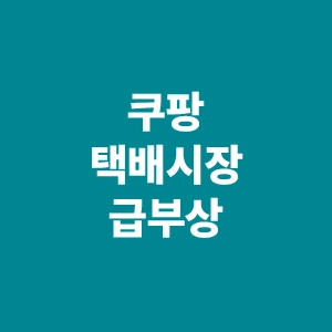 쿠팡-택배시장-급부상