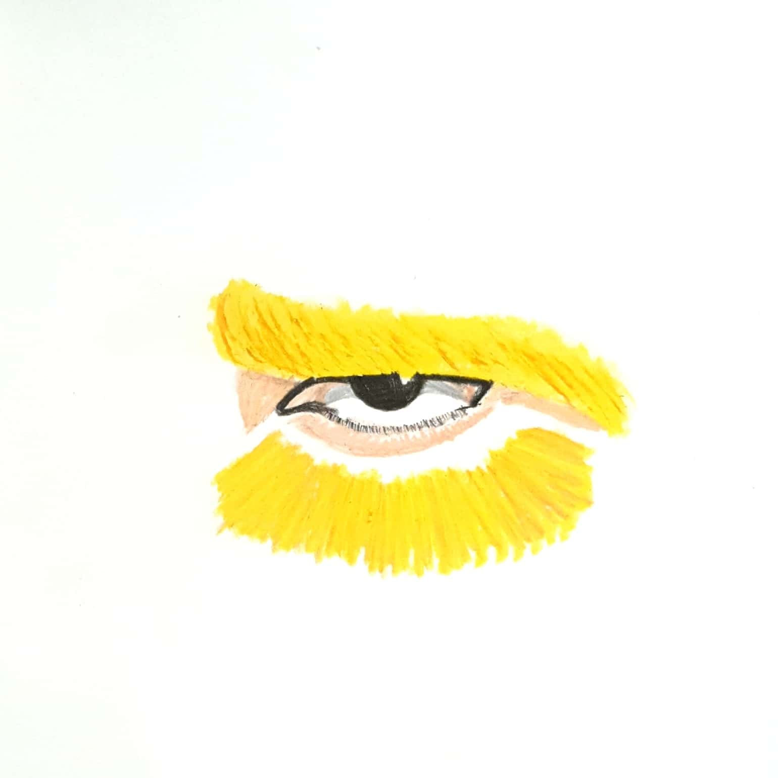  Sunflower Eye 해바라기 눈 / 일러스트레이션 그림 드로잉 / 눈 그리기