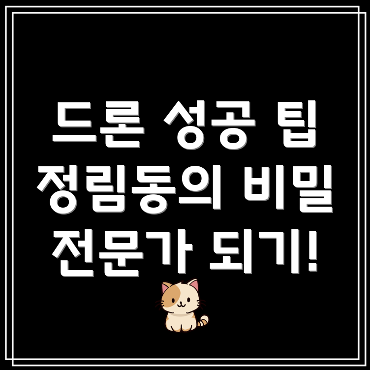 드론 전문가