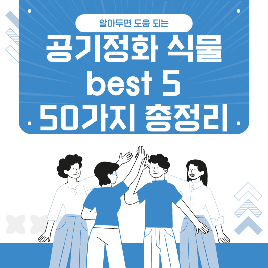 공기정화 식물 best 5 및 50가지 총정리