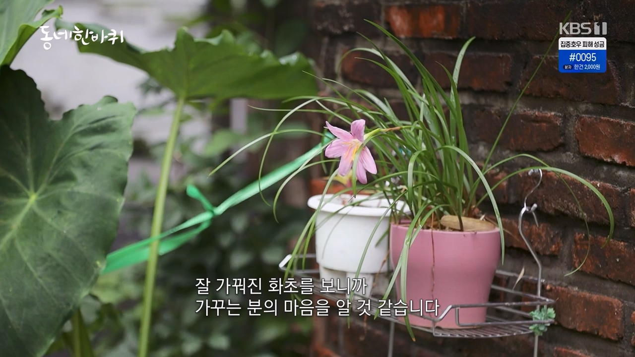 동네 한 바퀴.E233.230730p-NEXT.mp4_20230731_205131.282.jpg