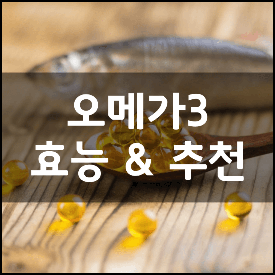 식물성-초임계-알티지-오메가3-효능-부작용-5가지-성분-종류-차이-가격-추천-총정리