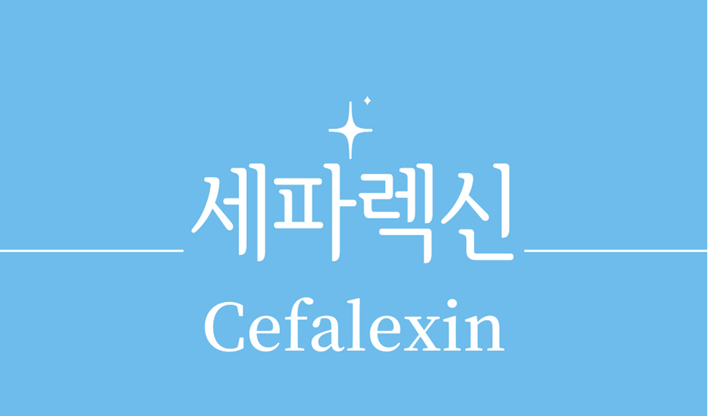 '세파렉신(Cefalexin)'