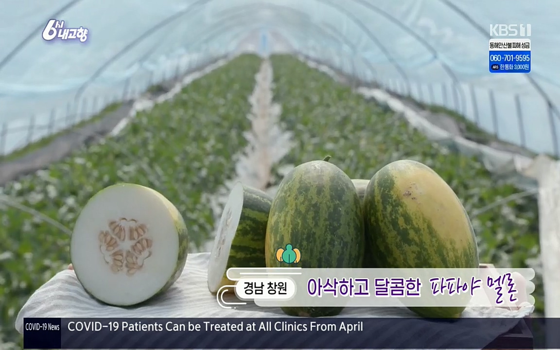 6시 내고향.E7501.220332p.H264-F1RST.mp4_20220402_194029.703.jpg