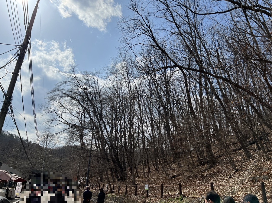 혼자가기좋은 17