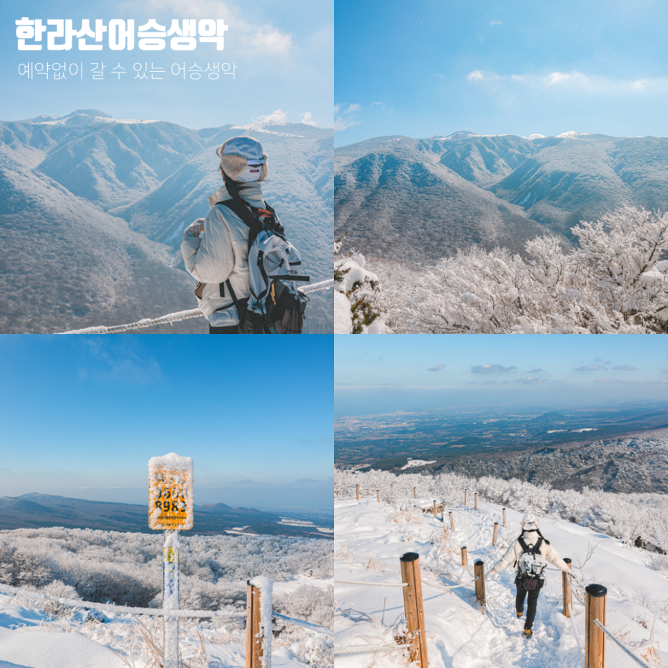 초보 등반 가능 w. 준비물 제주도 겨울 등산코스 한라산 어승생악 32