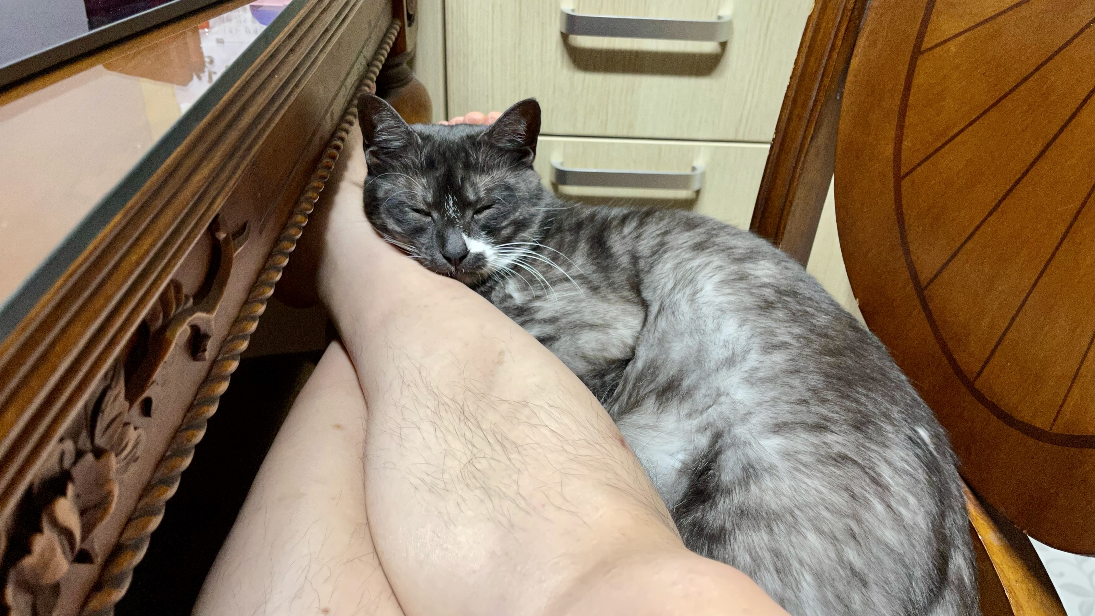 냥이_20220303 44